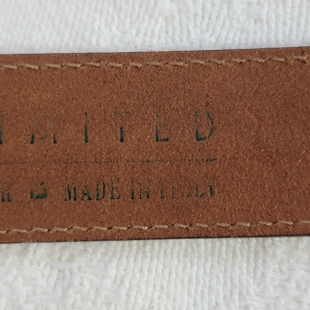 VTG The Limited Wide Brown Leather Belt Made in Italy Rainbow Embroidery Beads L